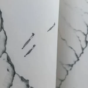 Screenshot_20250924_110337_Gmail